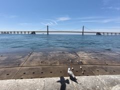 -星海广场