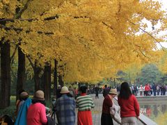 -玲珑塔公园