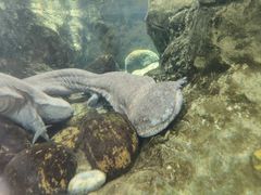 -珠海长隆海洋王国