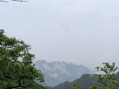-终南山国家森林公园