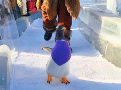 -波塞冬旅游度假区