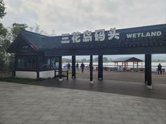 -长田漾湿地公园