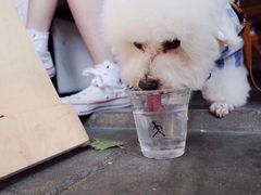 -常识咖啡common sense(春熙路店)