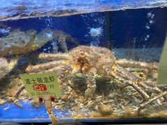 -宁海食府(大剧院店)