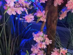 -野妹火锅(龙岗店)