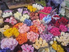 -花鸟鱼虫鲜花绿植市场(玉泉路店)