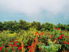 -棒棰岛宾馆景区