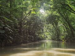 -上海滨江森林公园