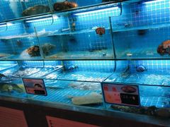 -鸽子侯·家宴·平价海鲜(市图书馆店)