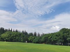 -上海滨江森林公园
