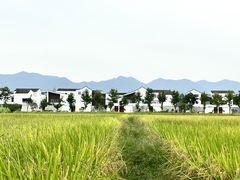 -东梓关景区村庄