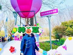 -金陵图书馆