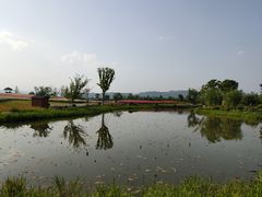 -径山花海