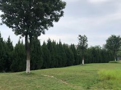 -汉长安城未央宫国家考古遗址公园