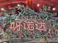 -呀诺达热带雨林