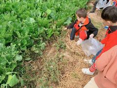 -万源龙顺度假庄园生态观光园