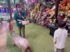 -正佳雨林生态植物园
