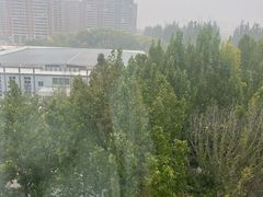 -廊坊固安福朋喜来登酒店