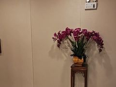 -品足轩足疗·按摩·SPA(朗晴店)