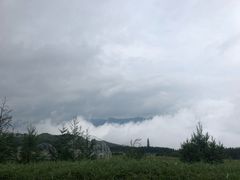 -玉舍国家森林公园