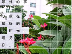 -麦当劳(东坑店)