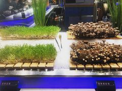 -V-ONE西雅图海鲜自助餐厅(仓山万达广场店)