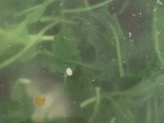 -大鹏饭店·金陵家宴(奥体中心店)