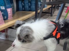 -佳雯宠物医院·皮肤科·内外科(春晓路分院)