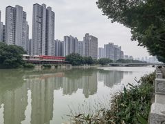 -光明港公园