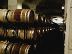 -北京张裕爱斐堡酒庄