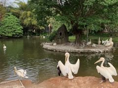 -深圳野生动物园