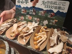 -芸山季·云南山珍菌火锅(南翔印象城MEGA店)