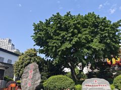 -泸州老窖景区