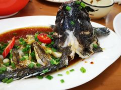 招牌清蒸龙胆斑-鑫鸿达·海鲜闽菜热炒小馆(中山路店)