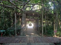 -广西壮族自治区药用植物园