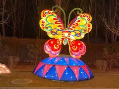 -南宫五洲植物乐园