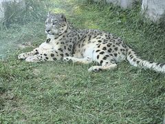 -青藏高原野生动物园