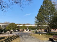 -唐城墙遗址公园