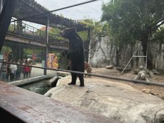-灵玲国际马戏城