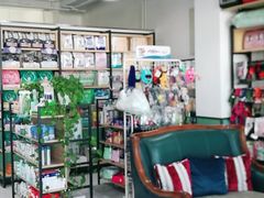 -欧奕国际动物医院