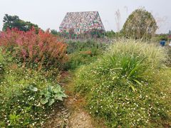 -紫颐香薰山谷景区