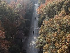 -灵谷景区