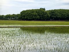 -嘉北郊野公园