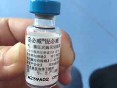 -伟伟宠物医院·CT影像中心·瑞派犬猫综合性门诊(汉口总院)