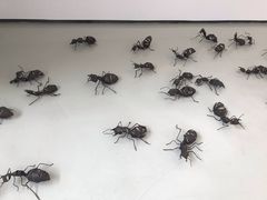 -四川美术学院美术馆