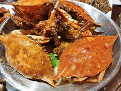 -东来菜馆•手抓海鲜家常菜•海鲜锅贴(鸽子窝店)