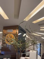 -深圳鹏爱秀琪医疗美容医院