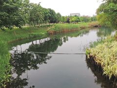 -眉山湿地公园(东坡区)