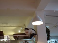 -小时光咖啡馆(北锣鼓巷店)