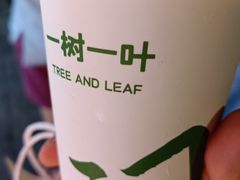 -一树一叶·福建茶档(石鼓路店)